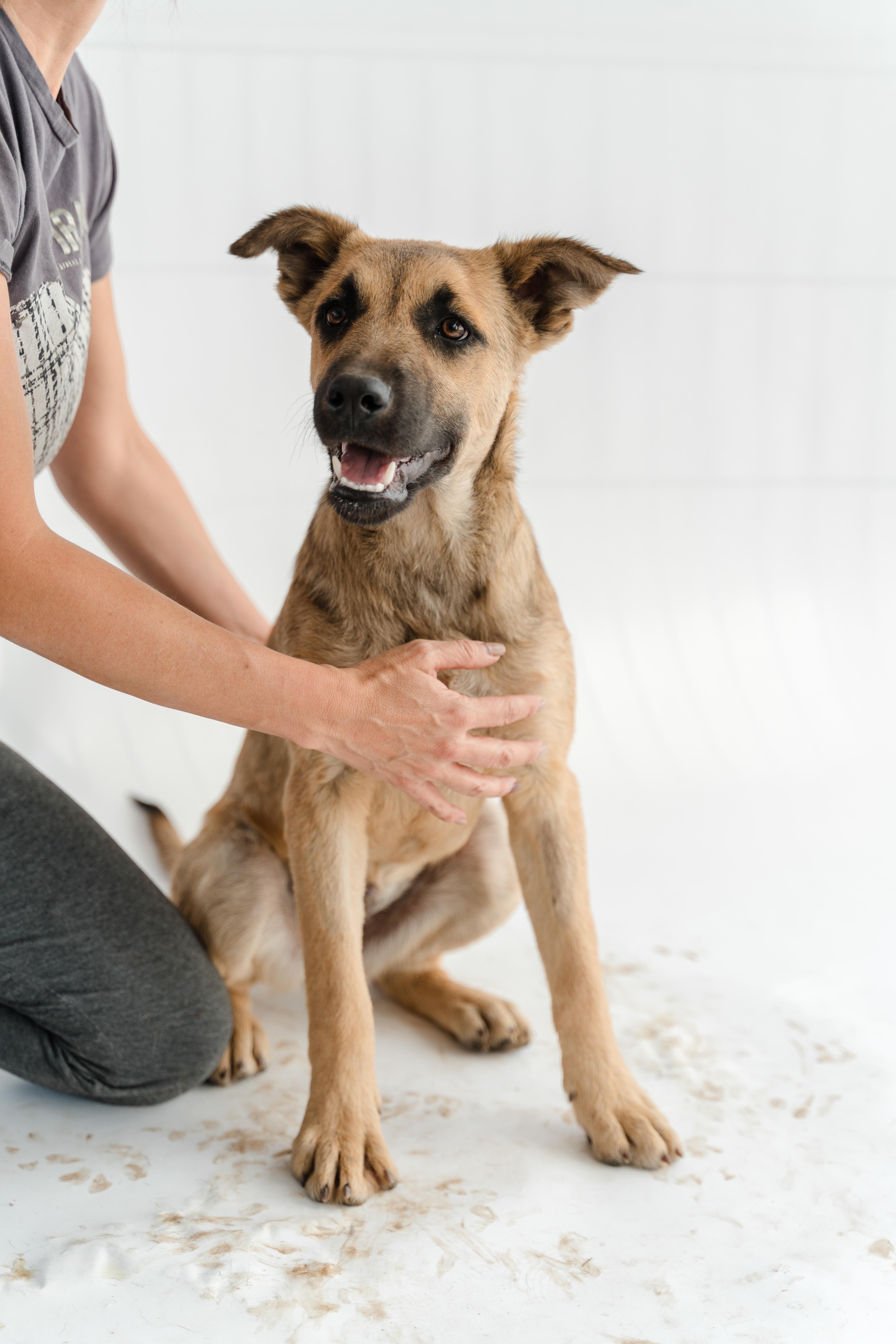 Moonlight thumbnail 2