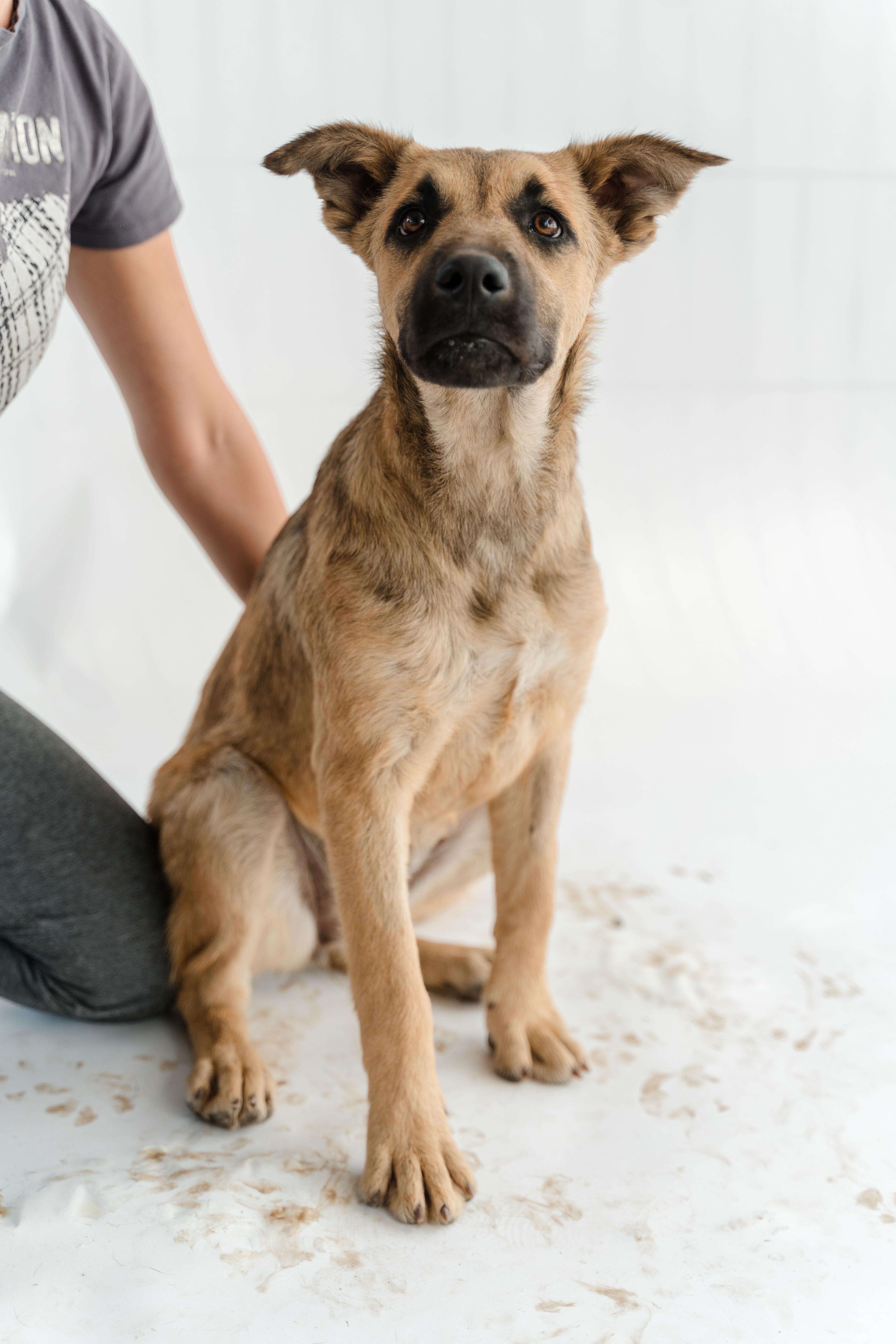 Moonlight thumbnail 3