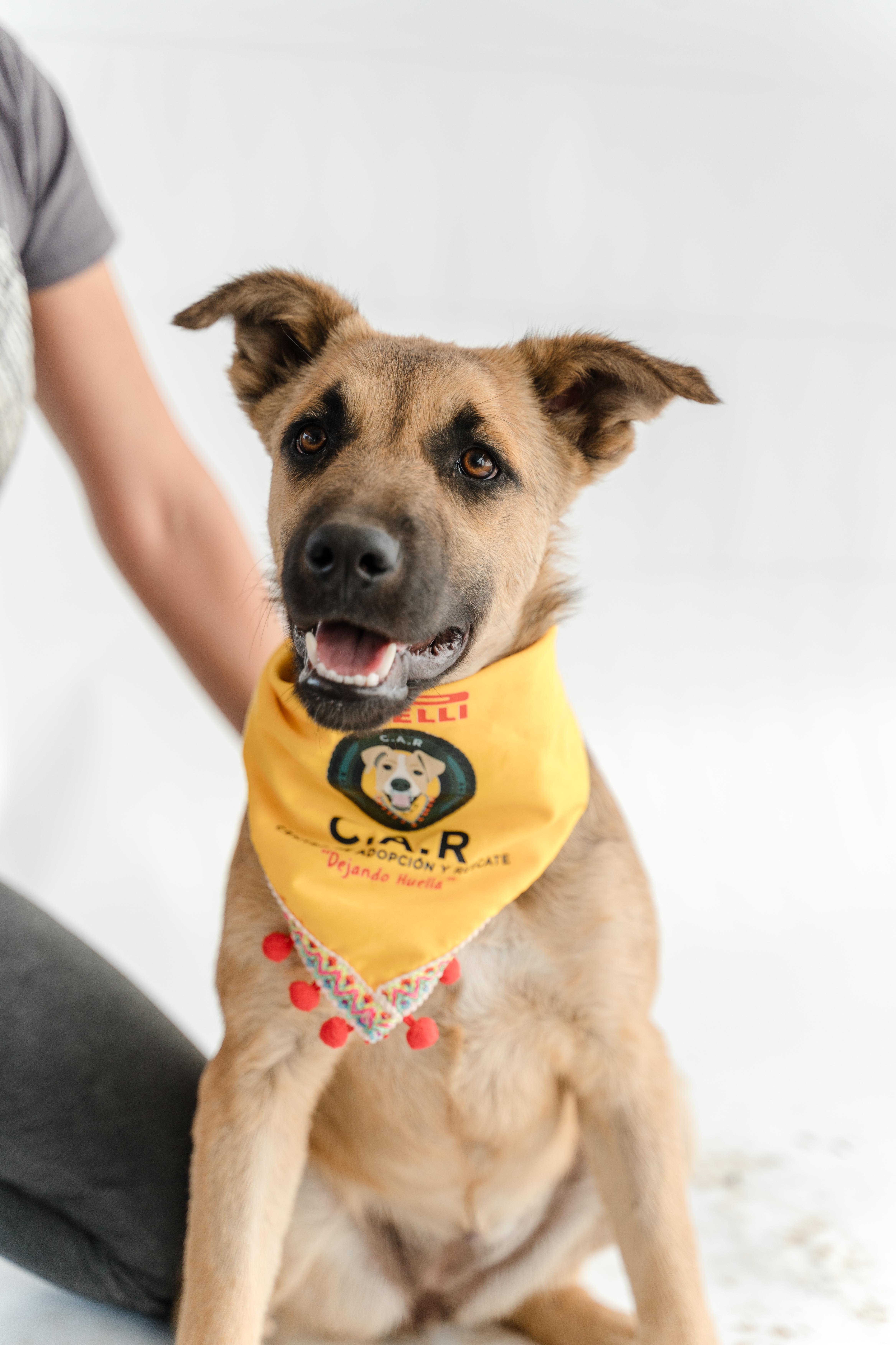 Moonlight thumbnail 4