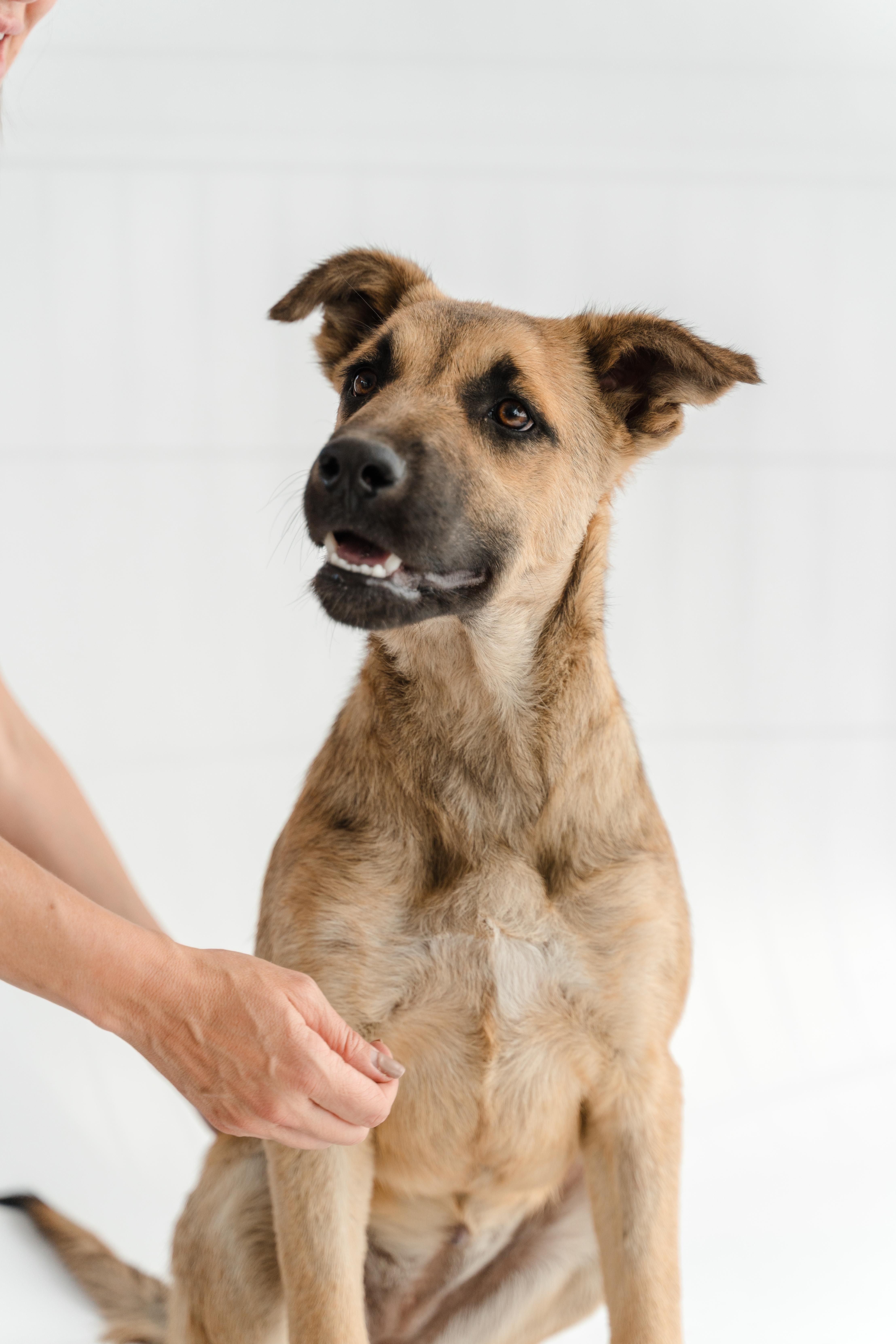 Moonlight thumbnail 5