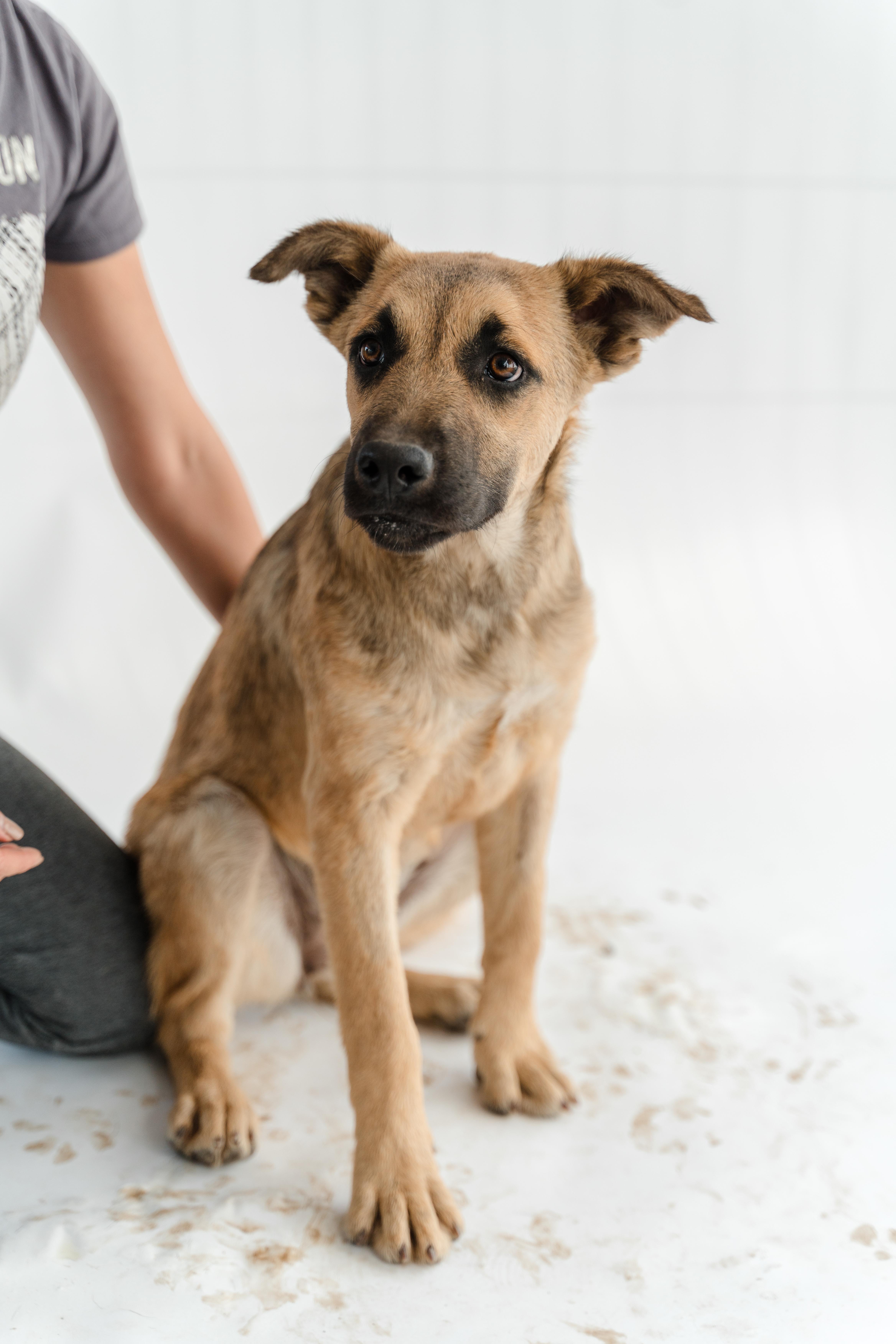 Moonlight thumbnail 6