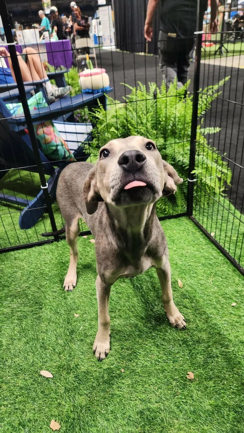 Doc Mcgee Ns thumbnail 2