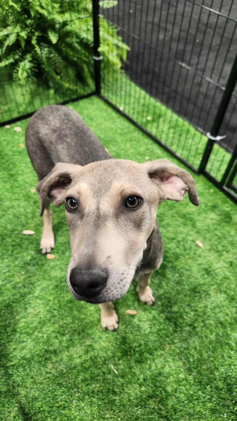 Doc Mcgee Ns thumbnail 3