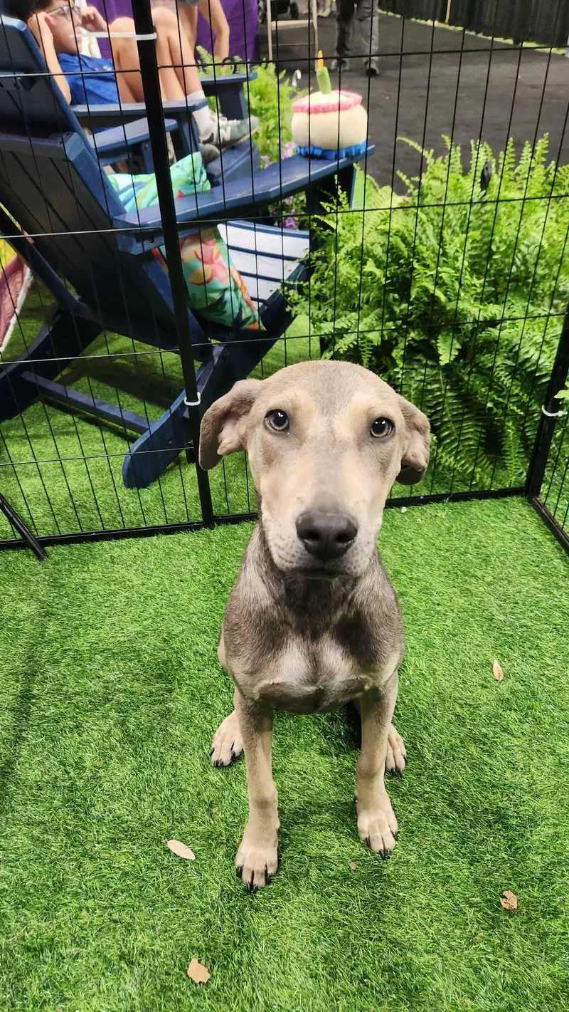 Doc Mcgee Ns thumbnail 5