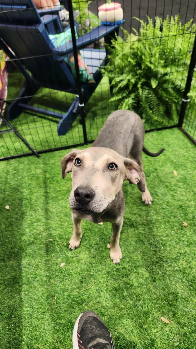 Doc Mcgee Ns thumbnail 6