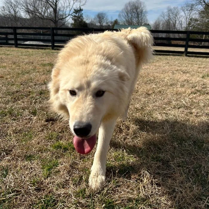 Nova Nicholas thumbnail 2