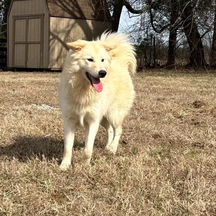 Nova Nicholas thumbnail 4