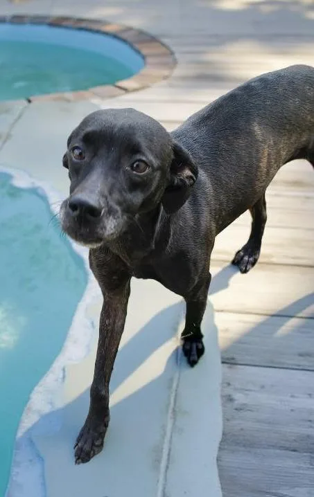 Marvelous Maisel thumbnail 3