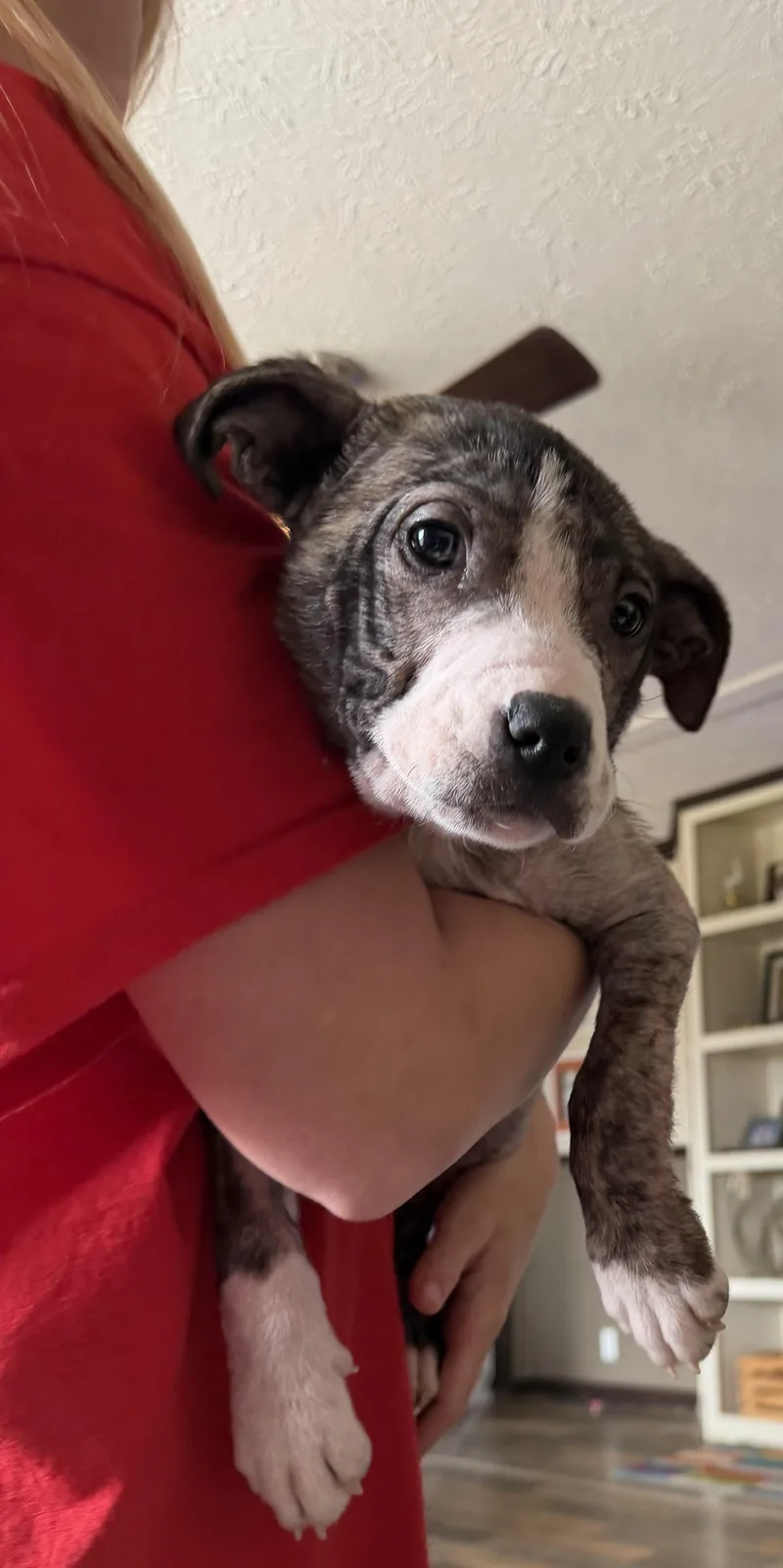 Stumpy Spunky thumbnail 2