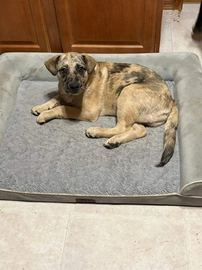 Rocky Mountain thumbnail 2