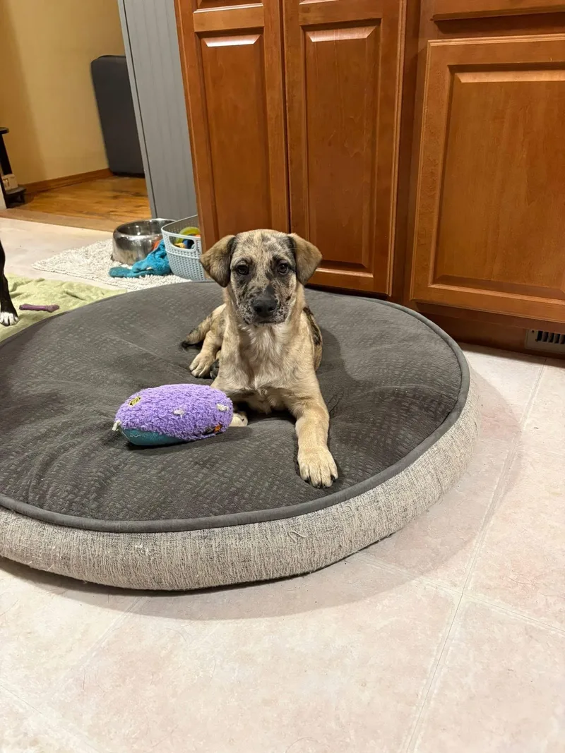 Rocky Mountain thumbnail 3