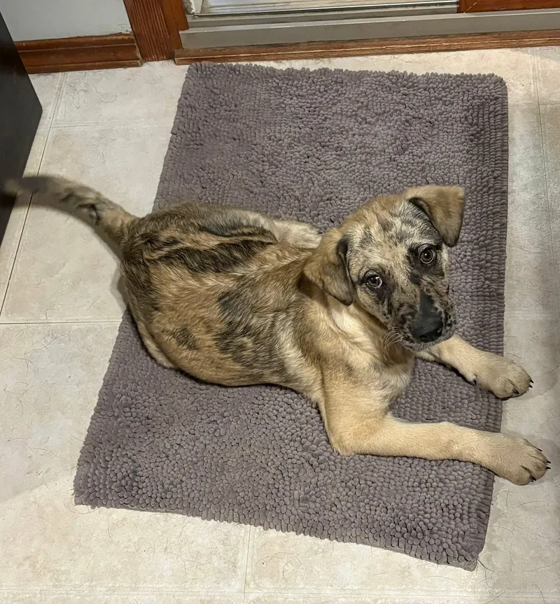 Rocky Mountain thumbnail 4