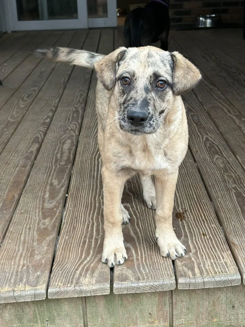 Rocky Mountain thumbnail 5