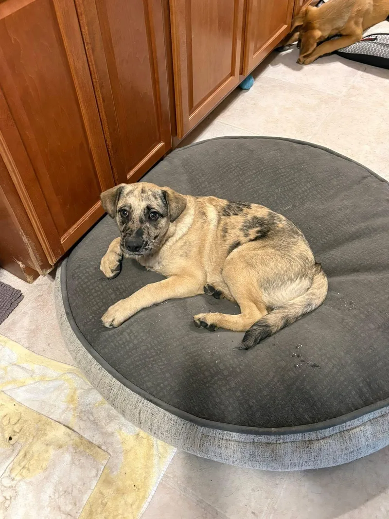 Rocky Mountain thumbnail 6