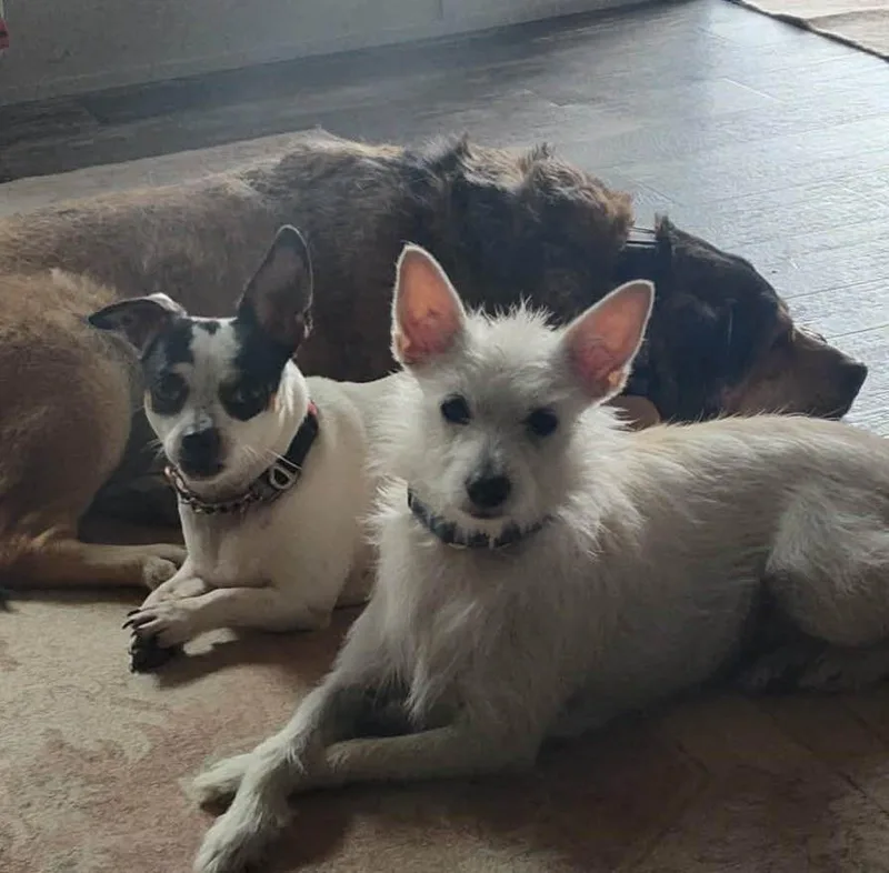 Rocket Man thumbnail 5