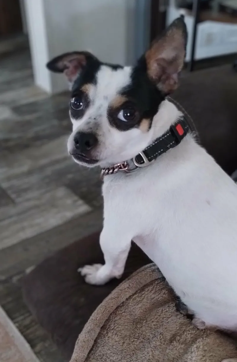 Rocket Man thumbnail 6