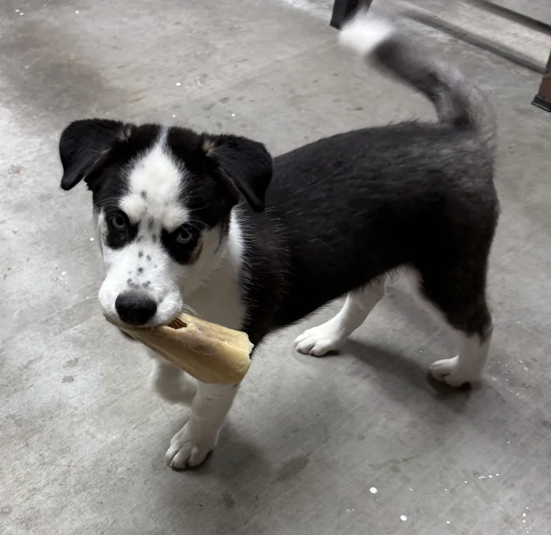 Freckles thumbnail 2