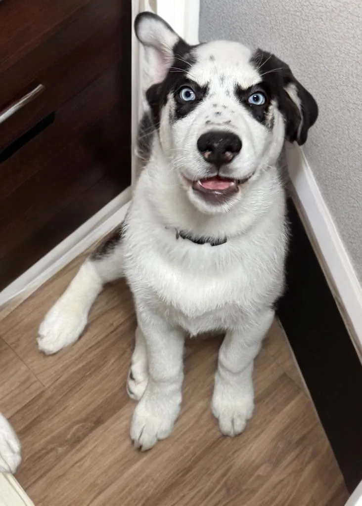 Freckles thumbnail 3