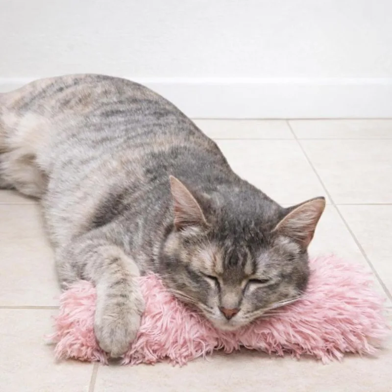 Mia  Gentle Sweetheart thumbnail 3