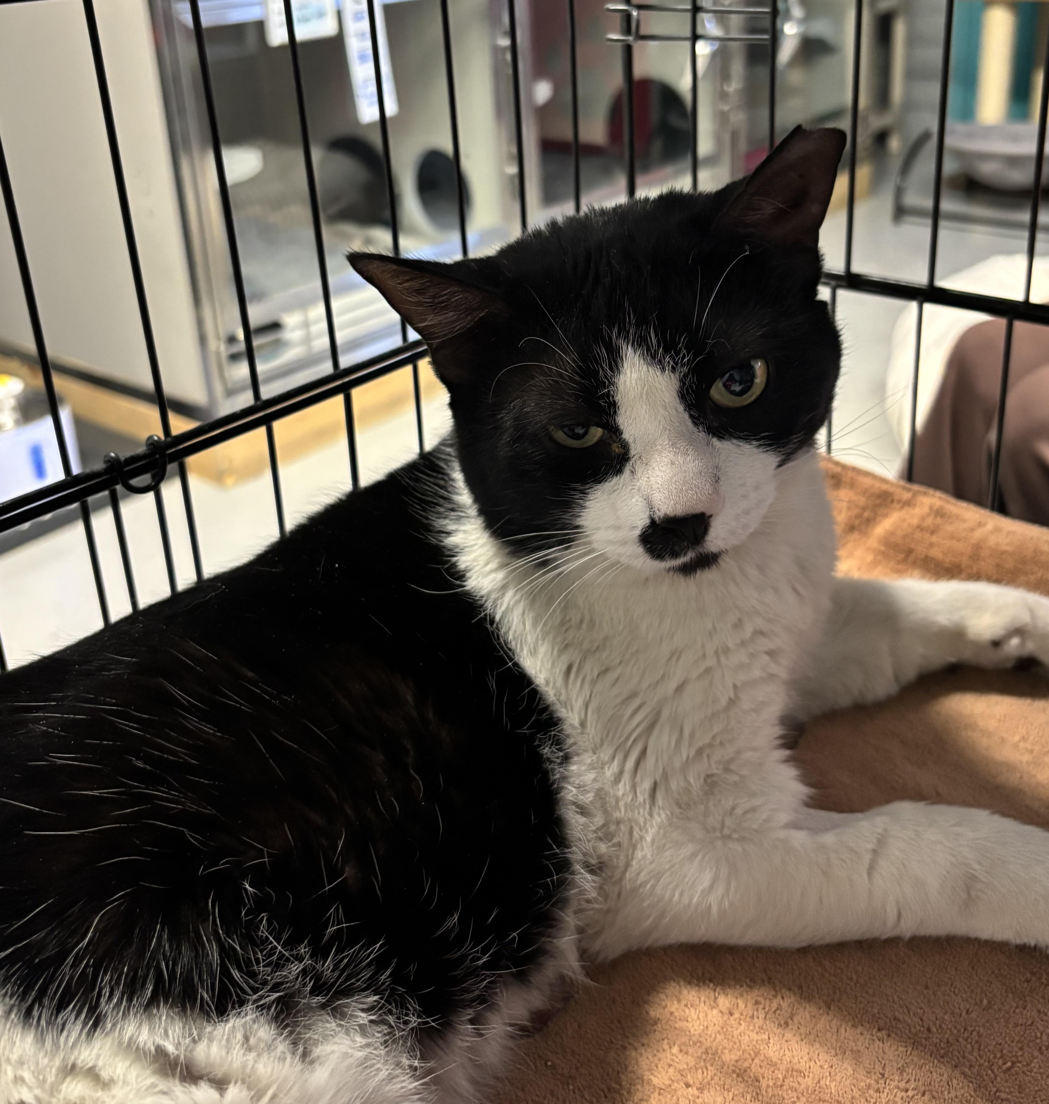 Sebastian thumbnail 2