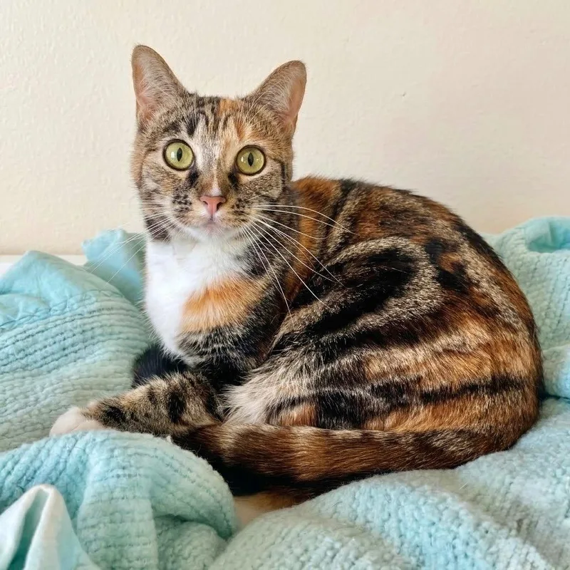 Smoochie thumbnail 2