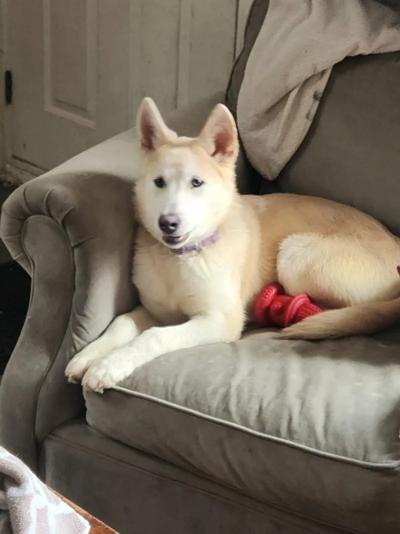 Polar Bear Bk thumbnail 3