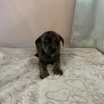 Jeanette thumbnail 2