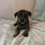 Jeanette thumbnail 3