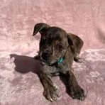 Jeanette thumbnail 4