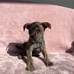 Jeanette thumbnail 5