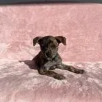 Jeanette thumbnail 6