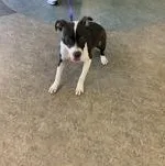 Beautiful thumbnail 2