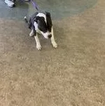 Beautiful thumbnail 3