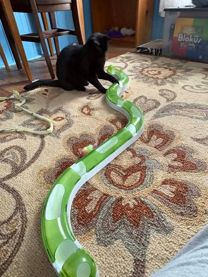 Beautiful Bijou thumbnail 3