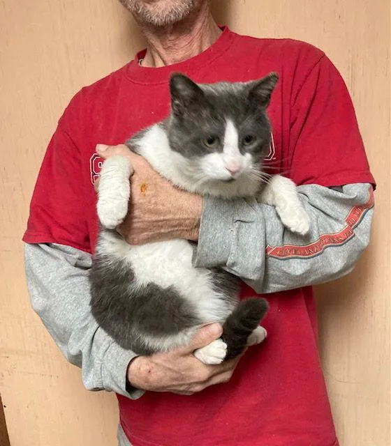 Brewster thumbnail 2