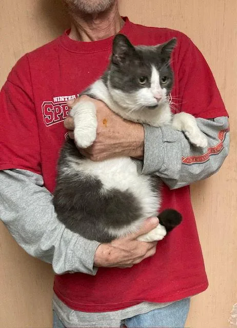 Brewster thumbnail 3