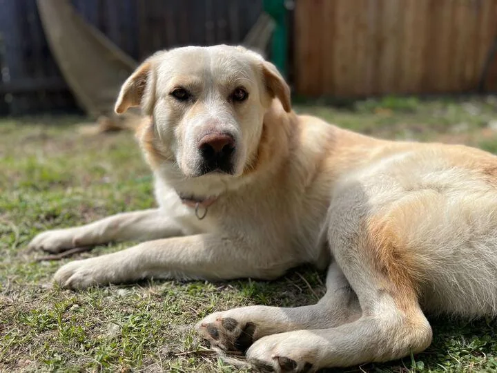 Kristoff thumbnail 2