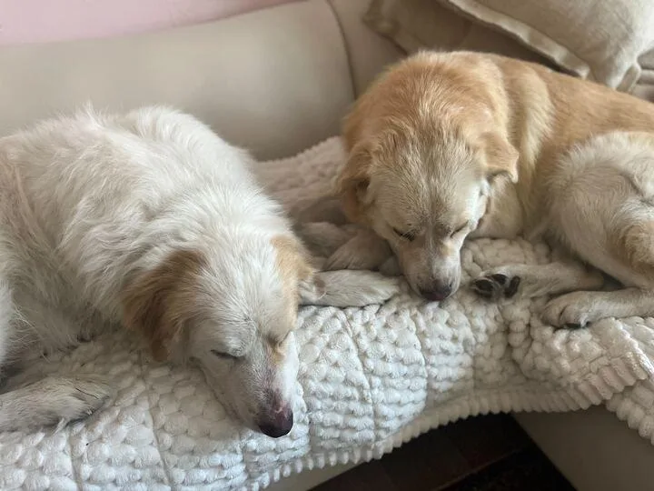 Kristoff thumbnail 4