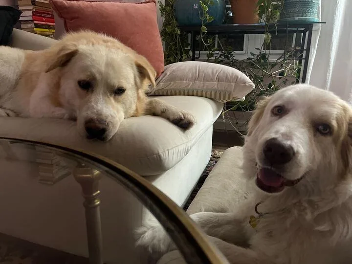 Kristoff thumbnail 5