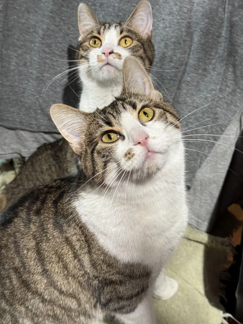 Girlie And Buddy thumbnail 2