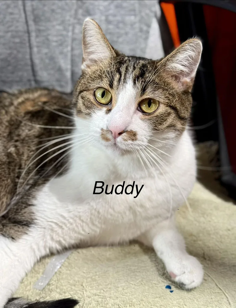 Girlie And Buddy thumbnail 3