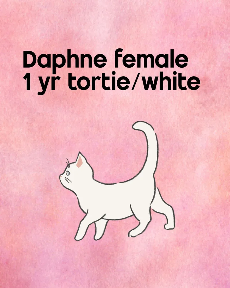 Daphne