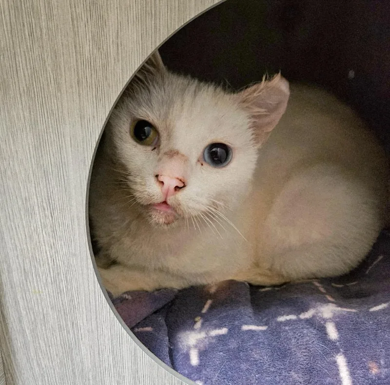 Lady Mary thumbnail 2