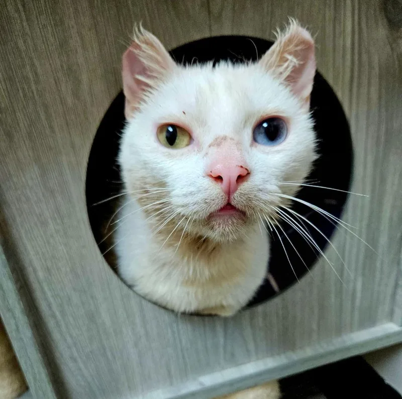 Lady Mary thumbnail 5