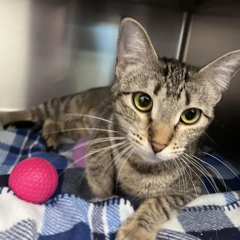 Mary Kate thumbnail 2