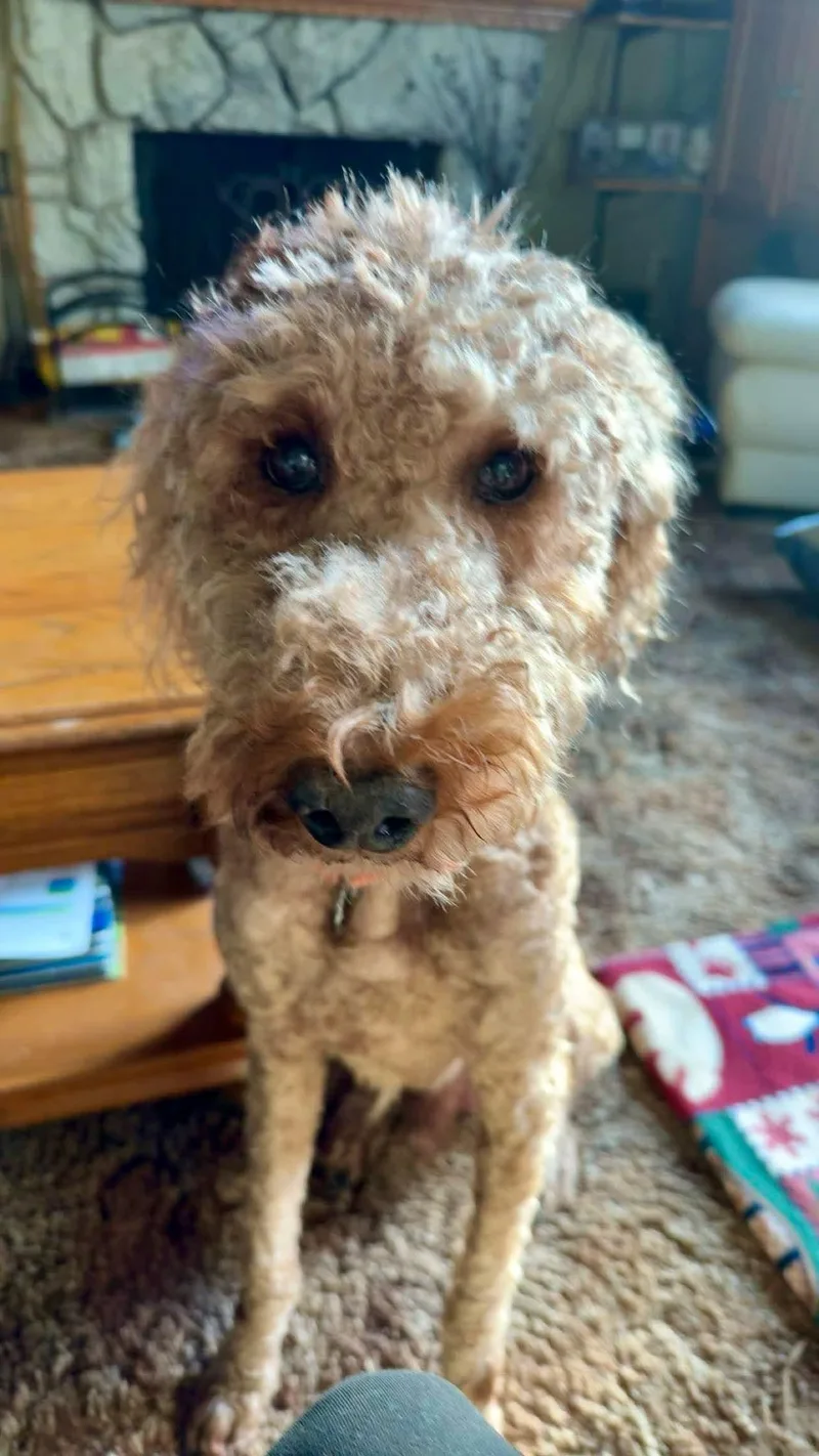 Rugar   $ thumbnail 2