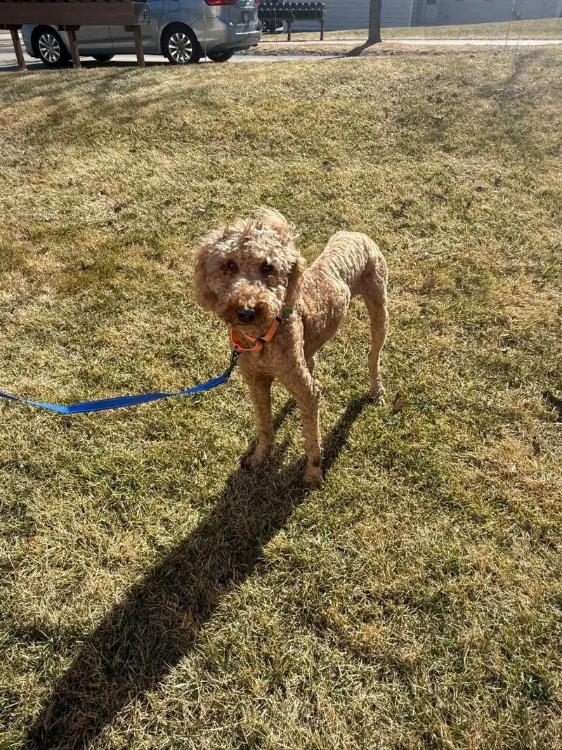 Rugar   $ thumbnail 3