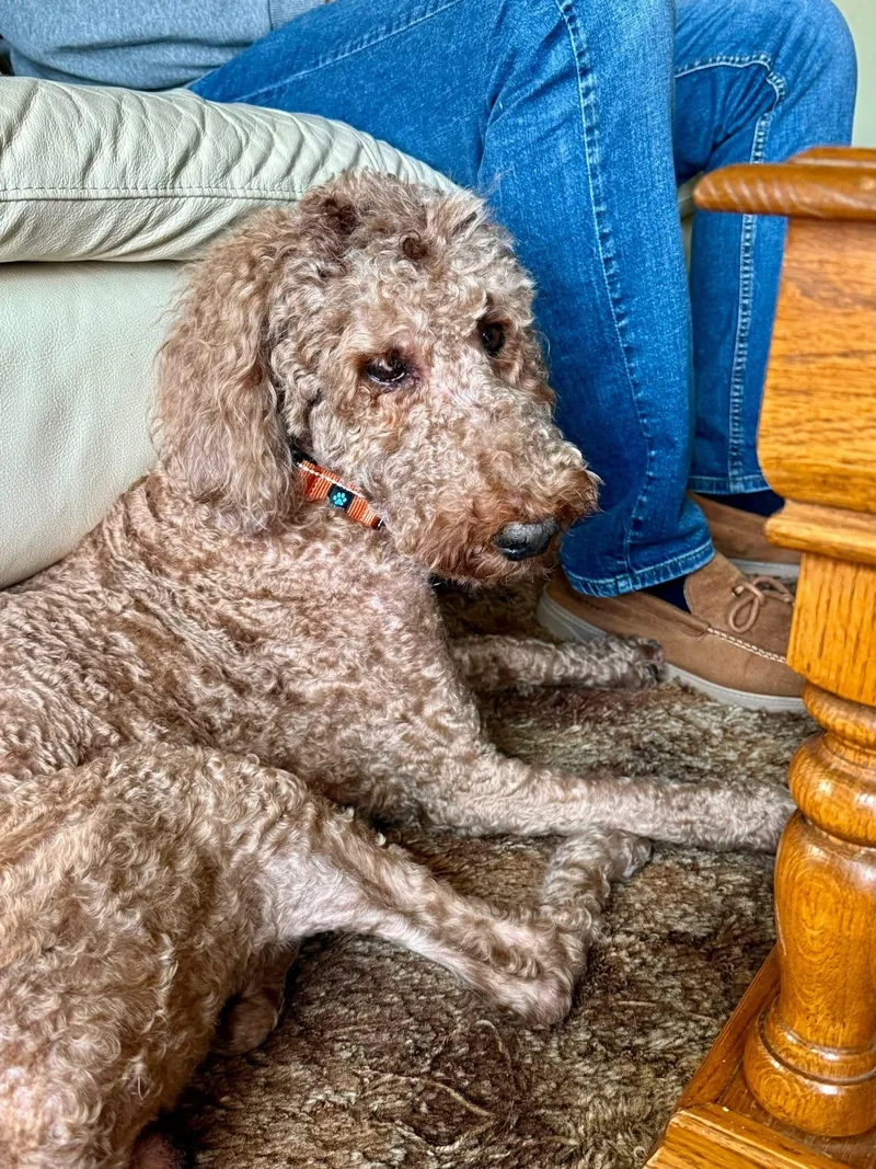 Rugar   $ thumbnail 4