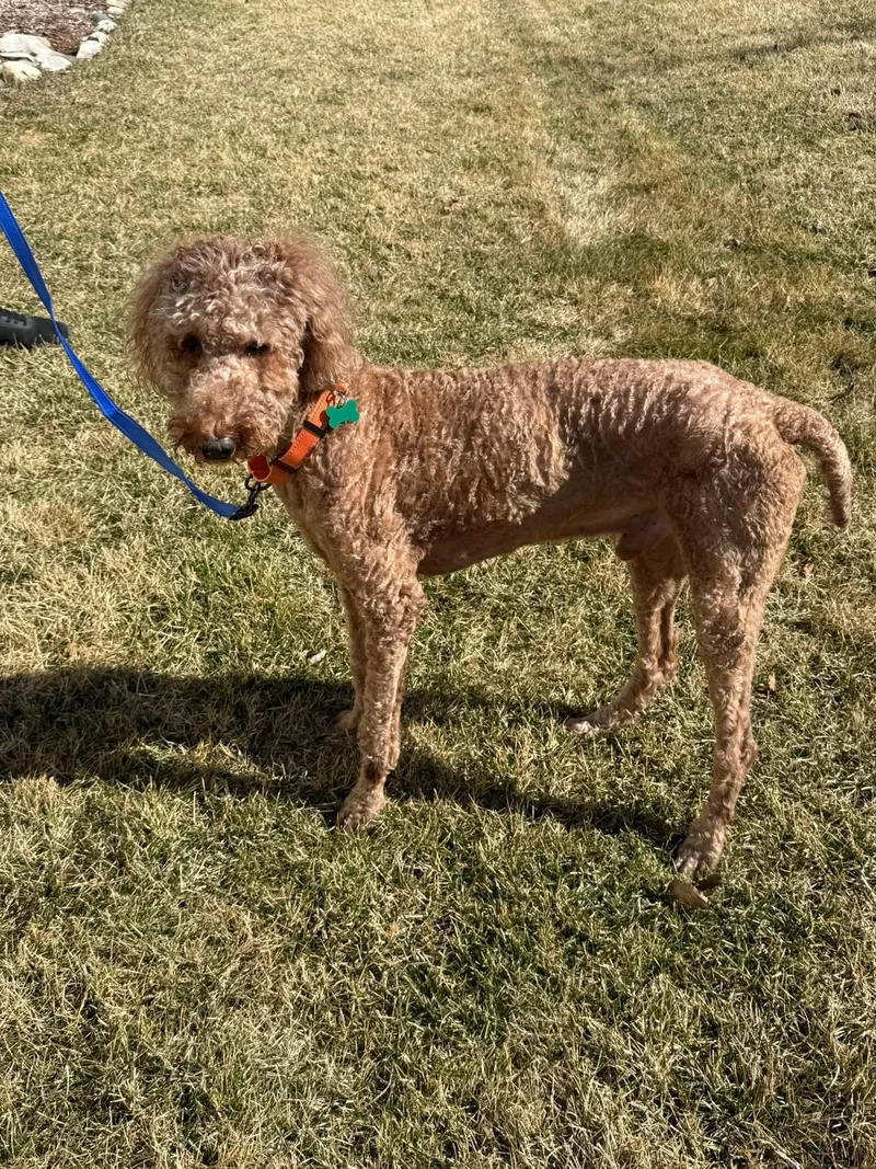 Rugar   $ thumbnail 5