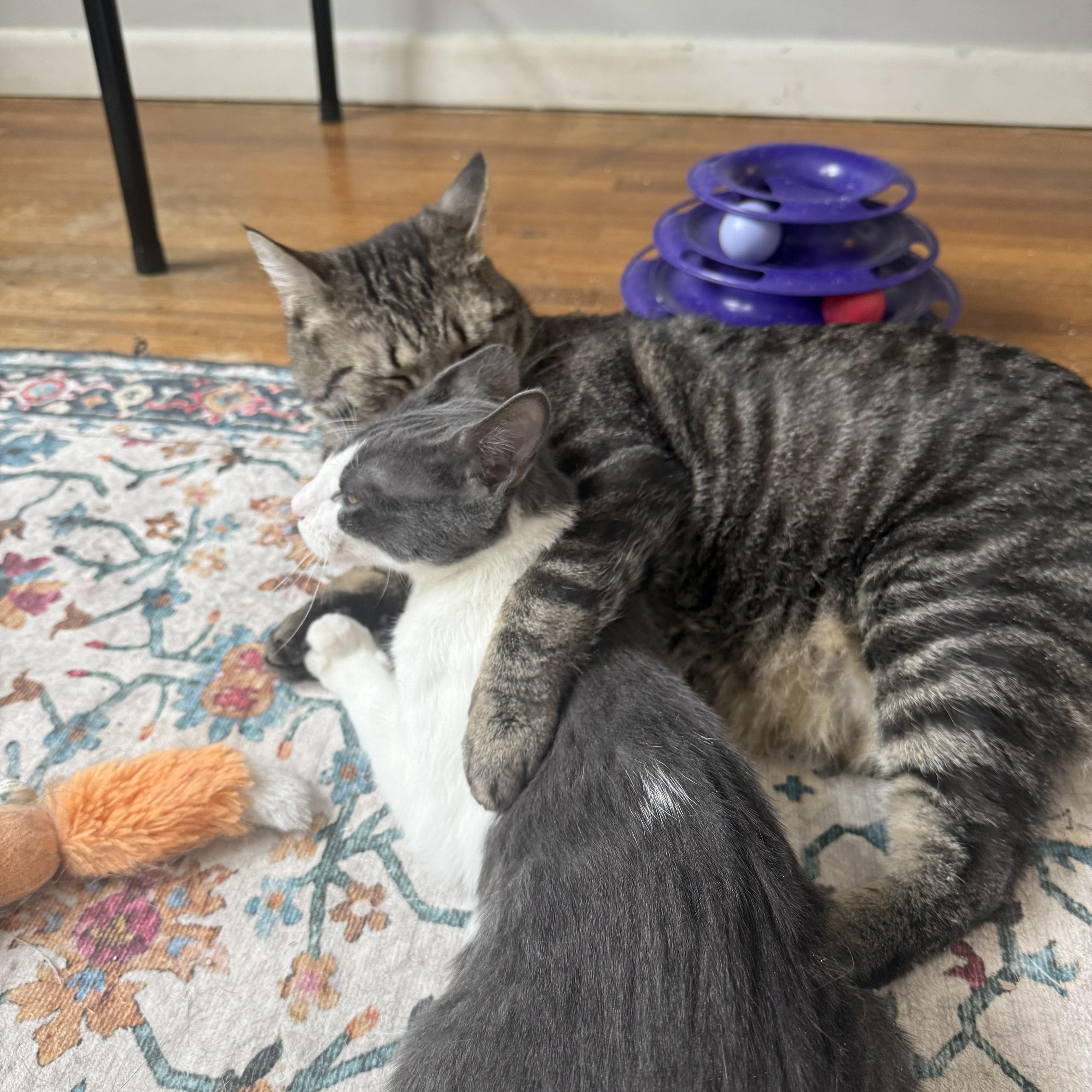 Cosner “coz” thumbnail 2